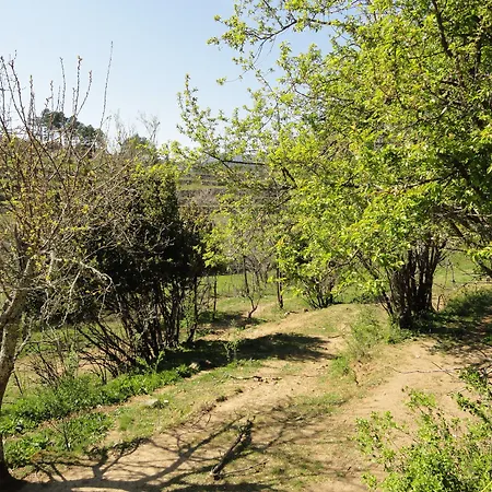 D'hôtes Au Creux Du Chambon Maison d'hôtes 4*